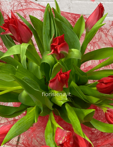 Bouquet di tulipani  
