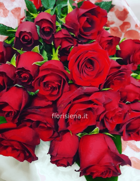 Rose rosse da comporre in mazzo per numero di steli.