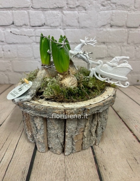 Composizione natalizia 