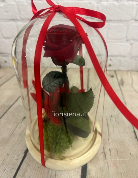 Campana con rosa stabilizzata a stelo