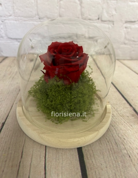 Campana piccola con rosa stabilizzata 